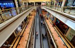 mini_DSC00292.JPG