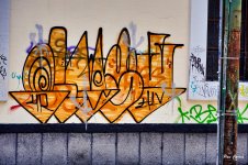 _DSC2844.jpg