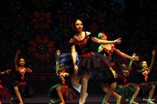 DSC04314.JPG