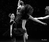 DSC04347.JPG