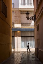 Aves de paso (1).jpg