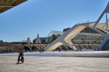Aves de paso (4).jpg