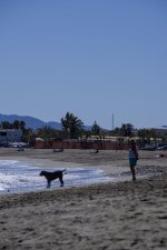 DSC09066.jpg