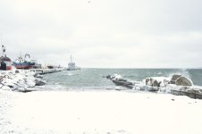 3-Tallin.jpg