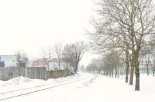 5-Tallin.jpg