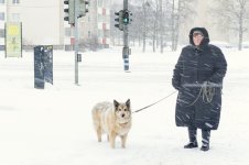 13-Tallin.jpg