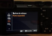 IMG_0376.jpeg