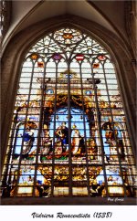 DSC09010.jpg