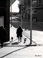 DSC04956 (1).jpg