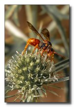 _AR60381-Editar.jpg