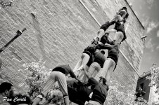 DSC07067 - copia (2).jpg