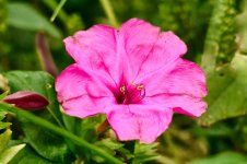 DonDiego__67A2686.jpg