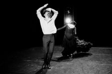 Bailaora2-2.jpg
