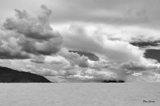_DSC7274 (1) - copia.jpg