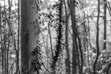DSC09910.jpg ps02.jpg