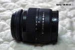 mini_DSC09841.JPG