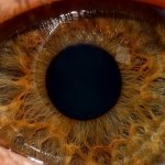 26565D62-4B3D-4CB2-96AB-5DC05C20D579.jpeg
