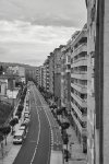 _SON3160JPEG fotonatura 1.jpg