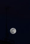 DSC03913.jpg
