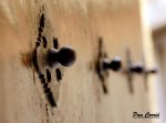 mini__DSC6582.JPG