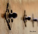 mini__DSC6582 - copia.JPG