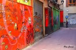mini_DSC06481.JPG