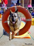 mini_DSC07891.JPG