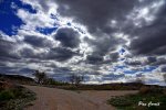 mini_DSC00605.JPG