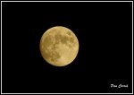 mini_DSC04738.JPG