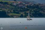 _DSC1809.jpg