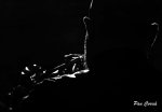 mini_DSC07776.JPG