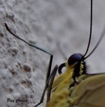 mini_DSC06617.JPG