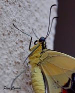 mini_DSC06615.JPG