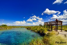 _DSC1302.jpg _DSC1302.jpg