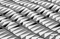 mini_DSC05715(1).JPG