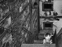 bn2_DSC8333-    ILCE-7M2 Sony FE 12-24mm f4 G (SEL1224G).jpg