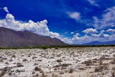 mini_DSC05006.jpg mini_DSC05006.jpg