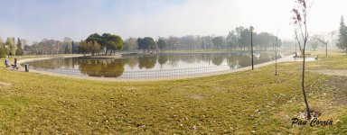 mini_DSC08080.jpg