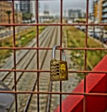 DSC06496 (2).JPG