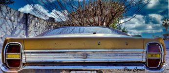 mini_DSC09252.JPG