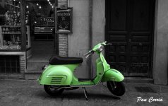 mini_DSC02330.JPG