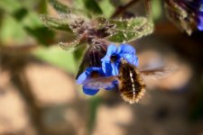DSC03743.jpg