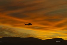 _DSC7830_Red.jpg