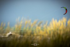 _A9_2864.jpg