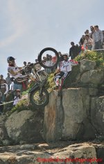 DSC_8686-makolvi-TR1.jpg