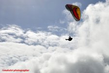 parapente 1.JPG