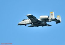 DSC_3007.JPG