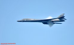 DSC_3313.JPG