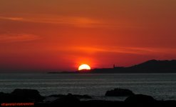 DSC_7974-makolvi.JPG
