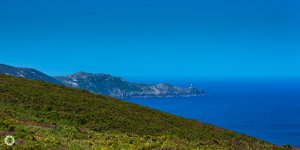 _DSC6066.jpg